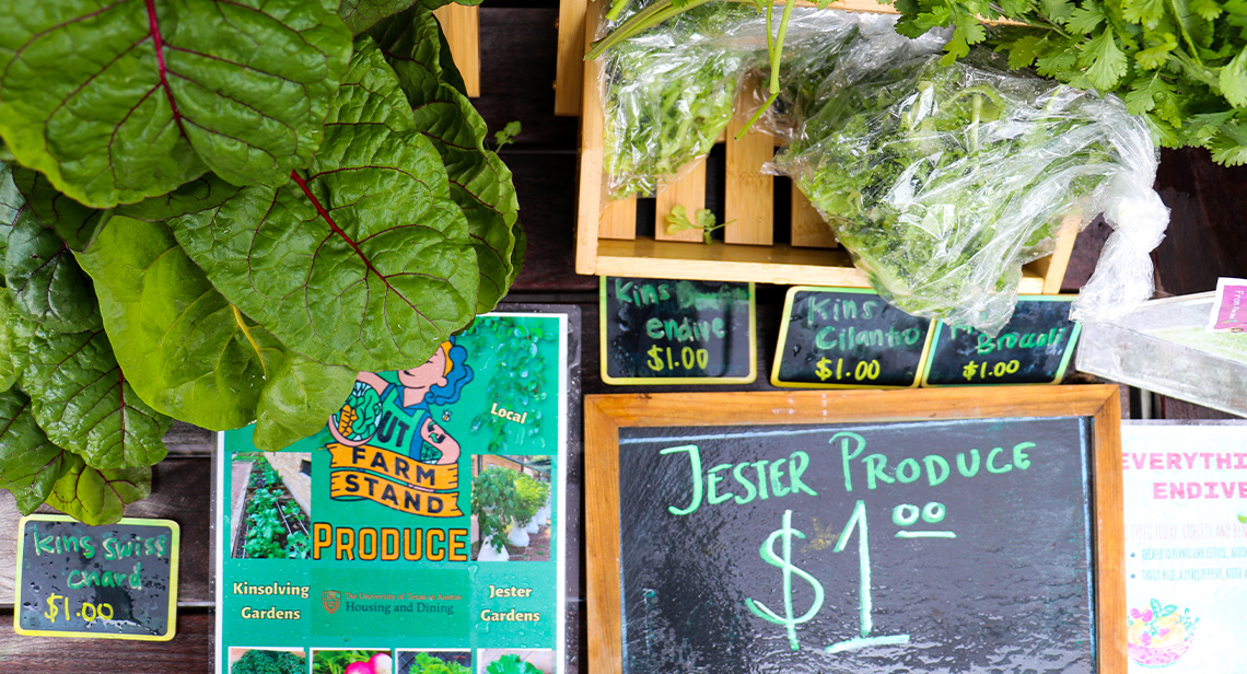 Alt text: Produce grown at Jester gardens for sale at the UT Farm Stand Market.
