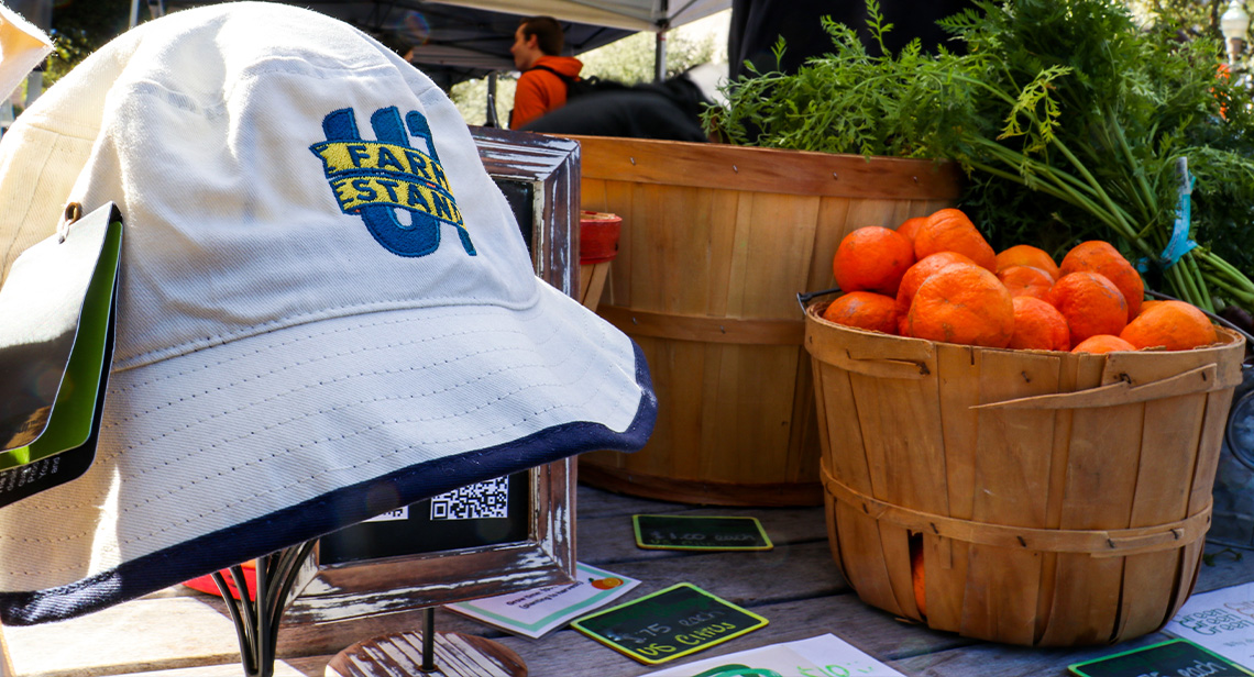 Merch on display at the UT Farm Stand Market