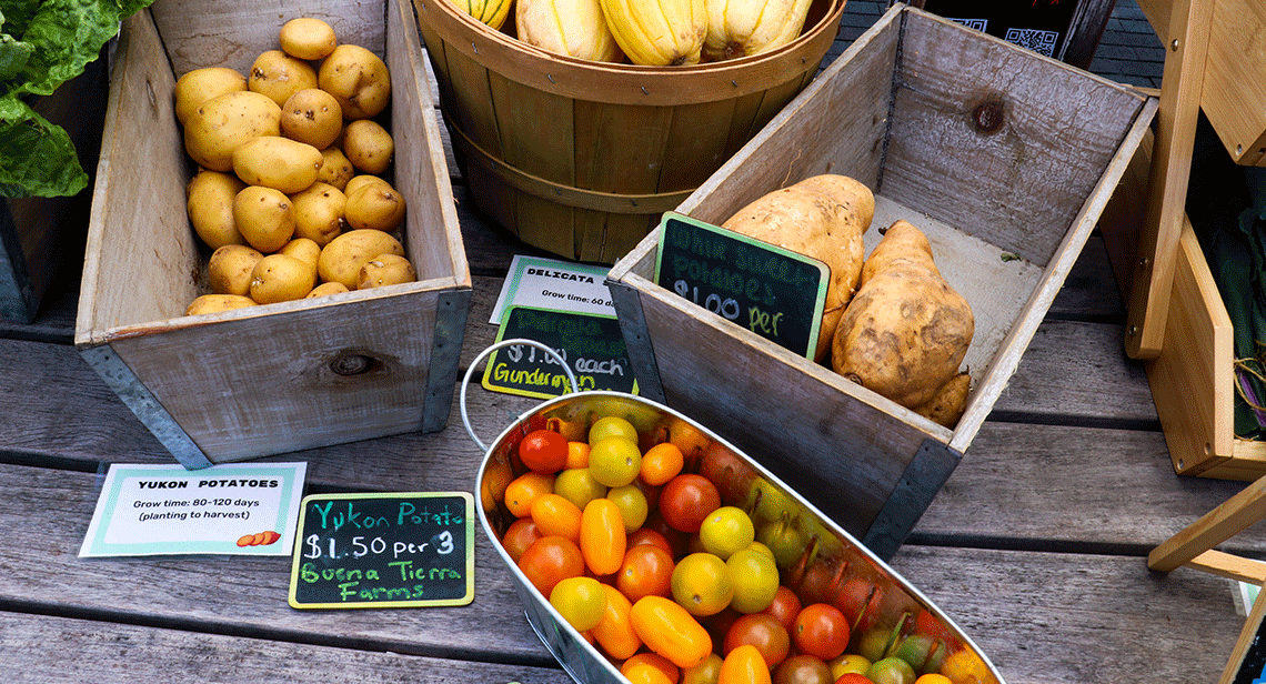 Several baskets of produce displayed at the UT Farm Stand Market