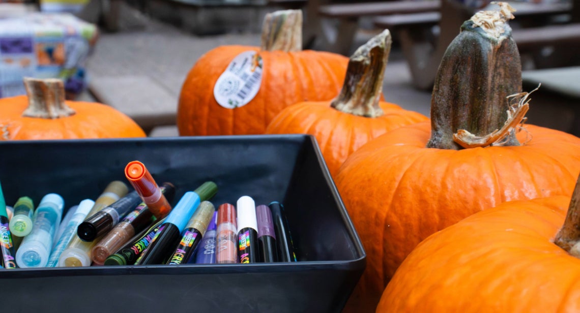  A container filled with colorful markers with several pumpkins in the background.