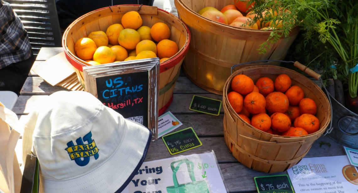 Three buckets of citrus with a UT Farm Stand bucket hat