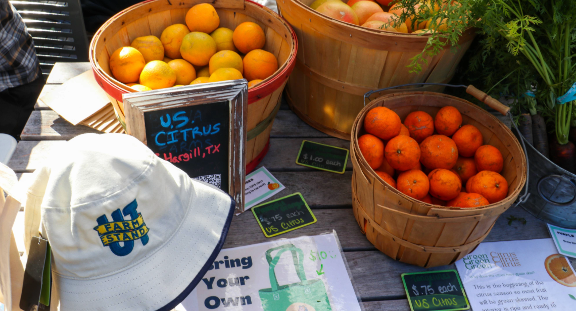 Fresh citrus like oranges and tangerines in wooden buckets at the UT Farm Stand Market