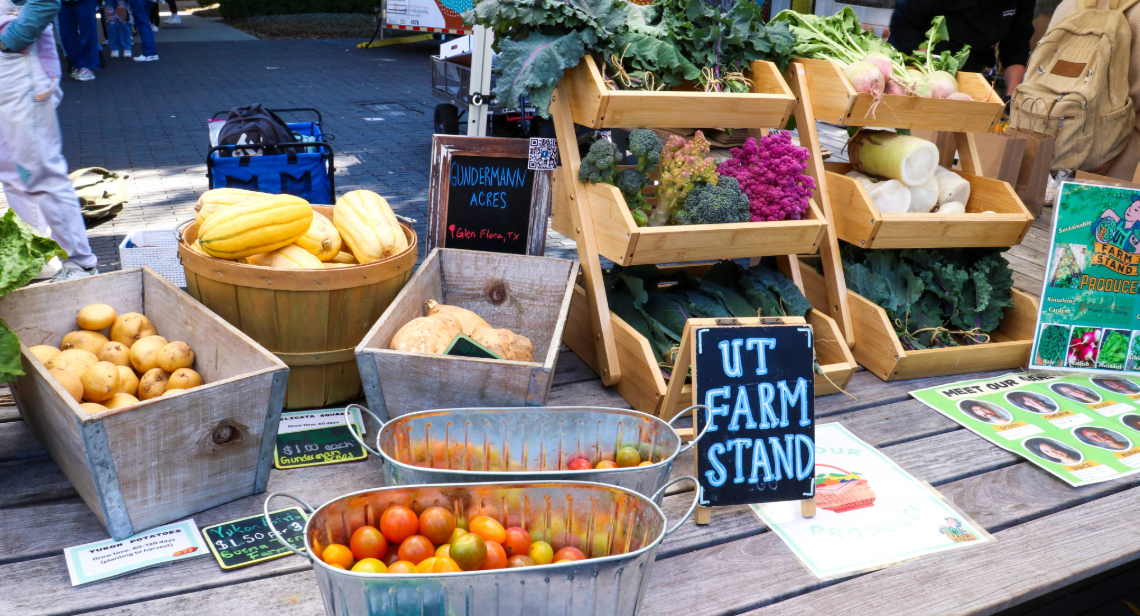 Fresh produce like tomatoes, squash, and potatoes on display at the UT Farm Stand Market