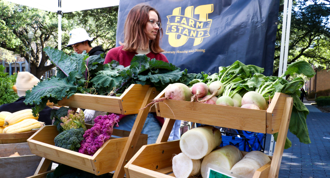 A person setting up leafy greens and root vegetables at a UT Farm Stand market