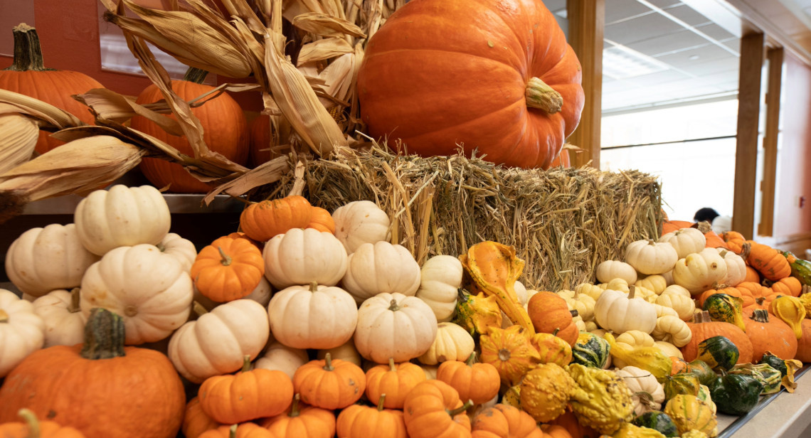 An array of orange and white pumpkins and hay inside of Kins Dining.