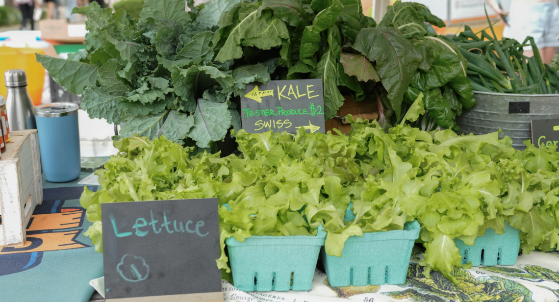 Bok choy and lettuce on a table at UT Farm Stand market