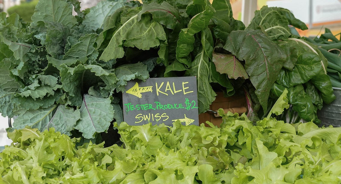 A close up of produce featuring kale and lettuce