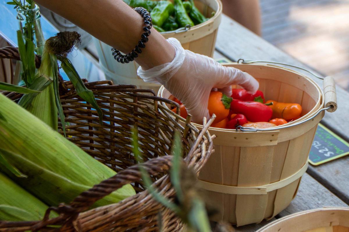 UT Farm Stand Market - various vegetables for sale