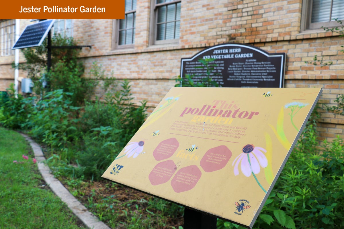 A close up of the pollination garden sign at the Jester Pollinator Garden