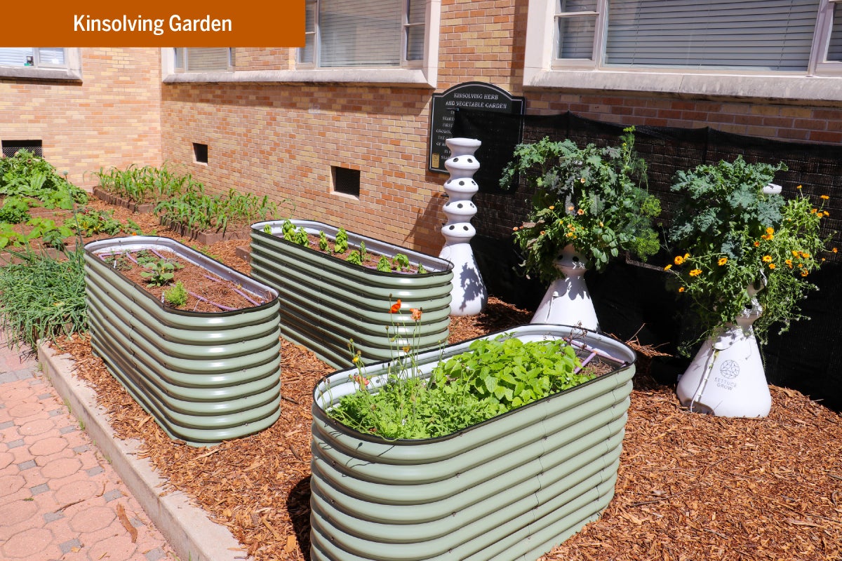 A showcase of the plants grown at the Kinsolving garden