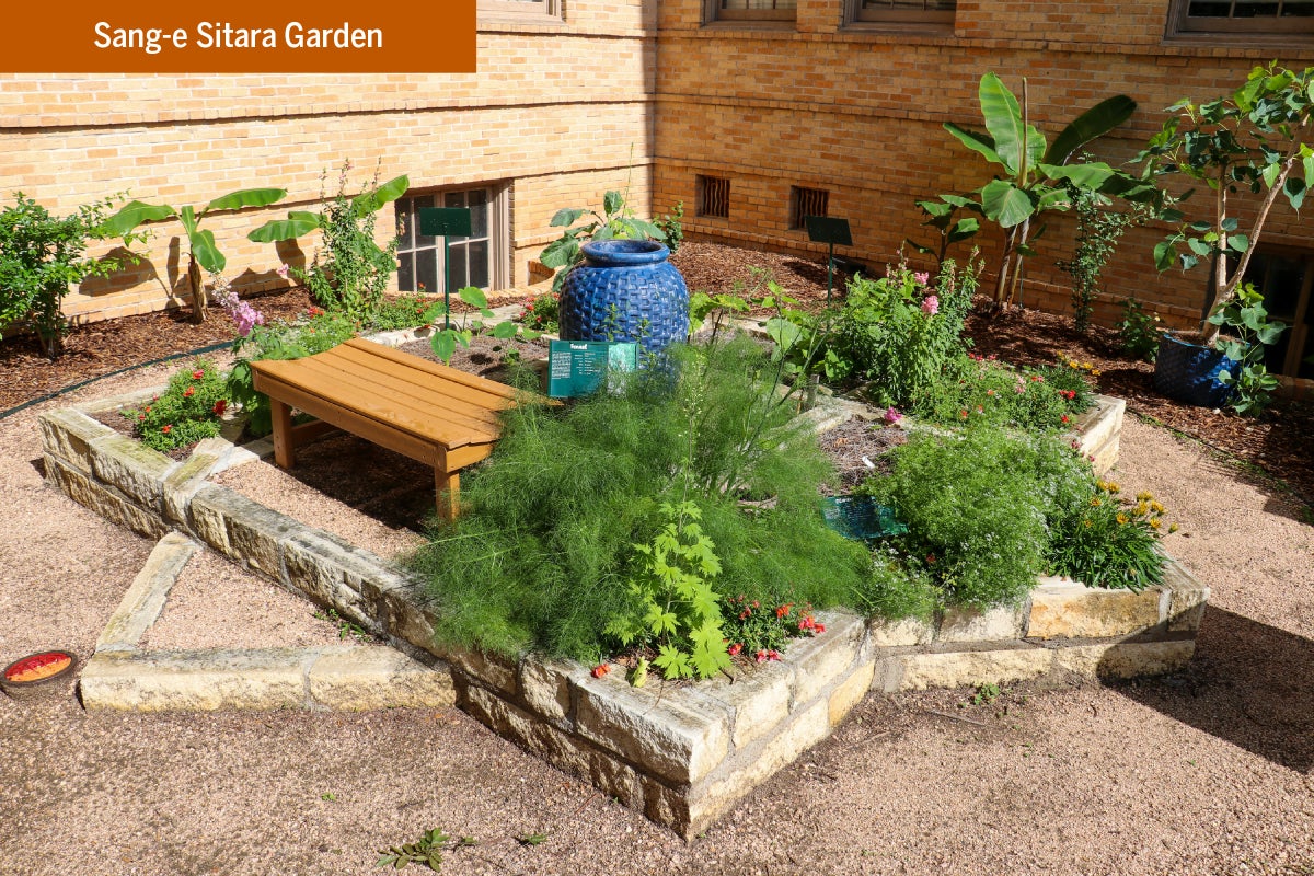 A garden showcasing different plants and a bench at the Sang-e Sitara Garden