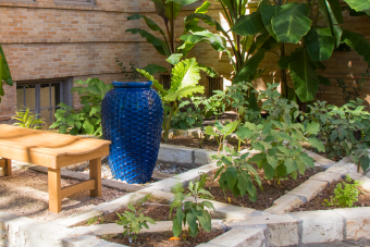 Gardens - Kinsolving garden