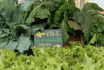 A close up of produce featuring kale and lettuce