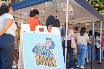 UT students lined up at a UT Farm Stand market with an A-frame sign that showcases the UT Farm Stand Logo